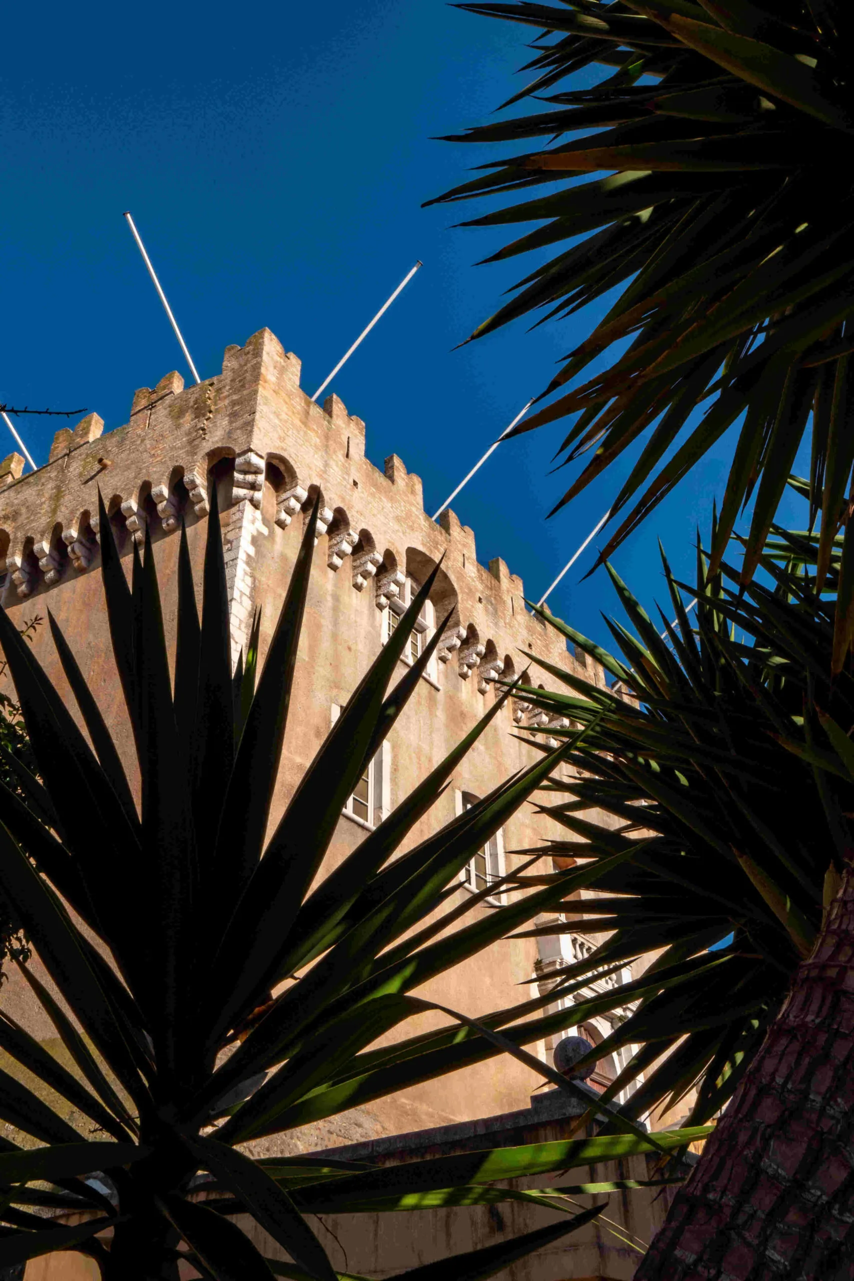 Visite : La Côte d'Azur des Peintres